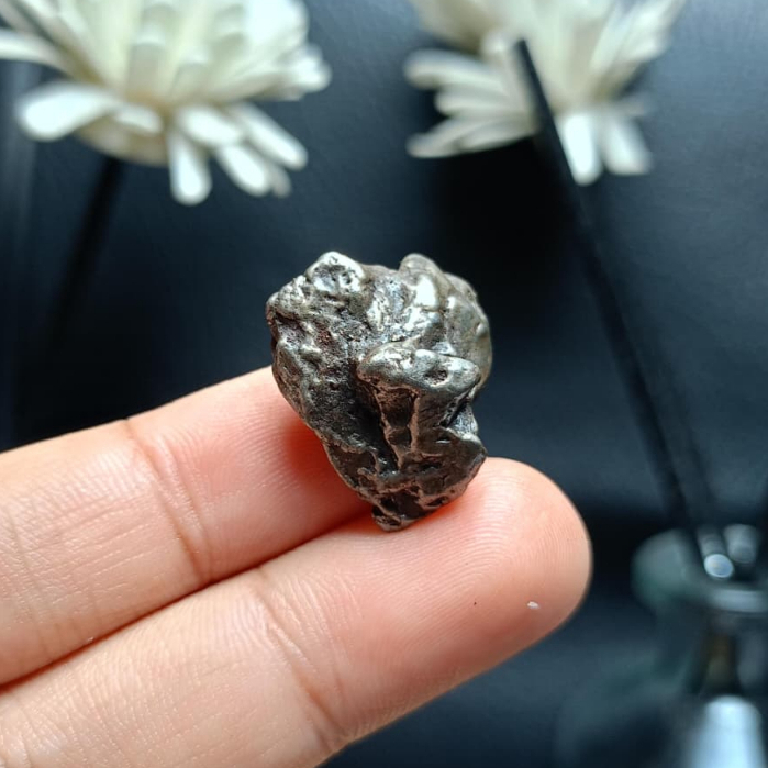 Batu meteorite crystal campo del cielo (22)