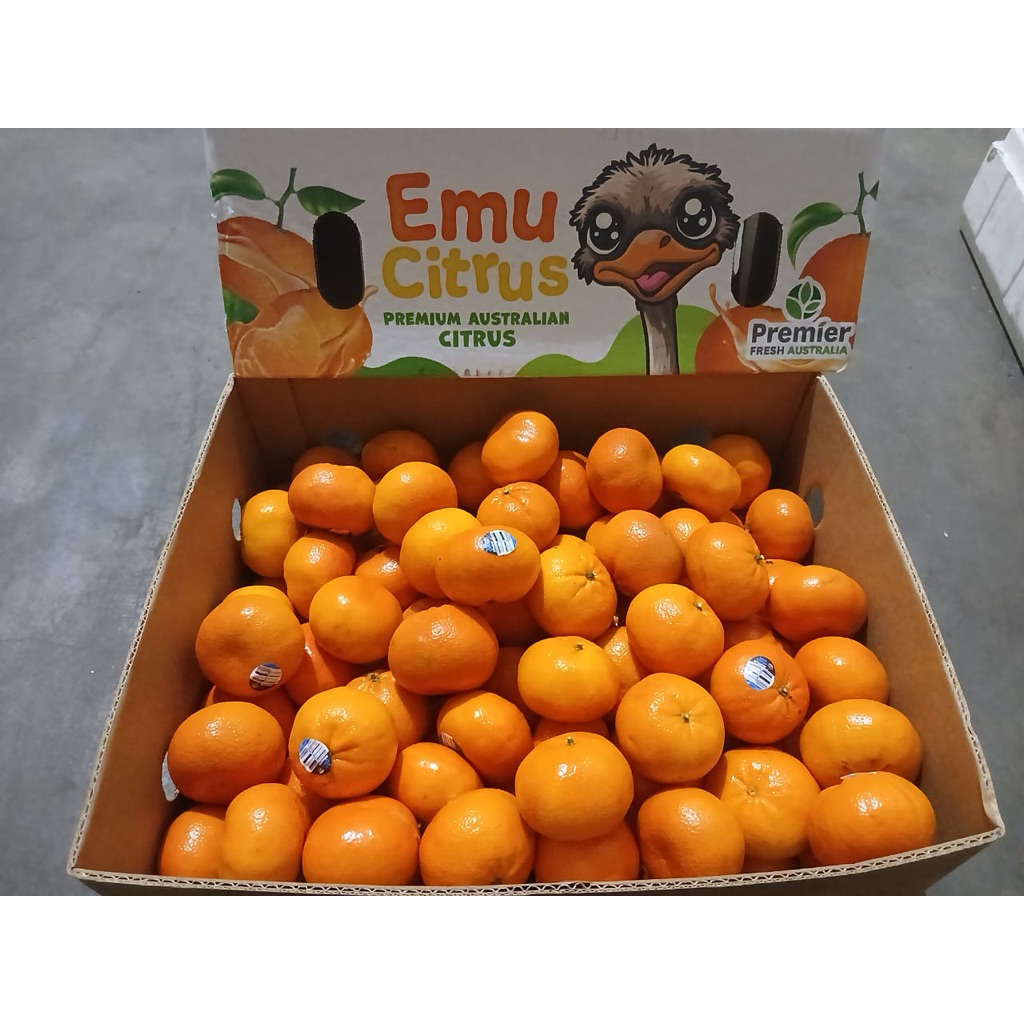 Jeruk Afourer Aus 9 kg