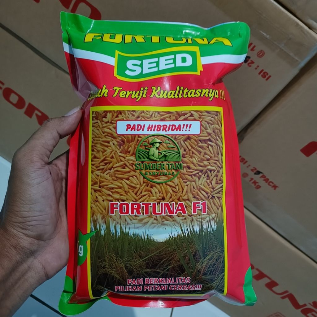 Benih Padi Hibrida Fortuna Seed F1 1Kg Original