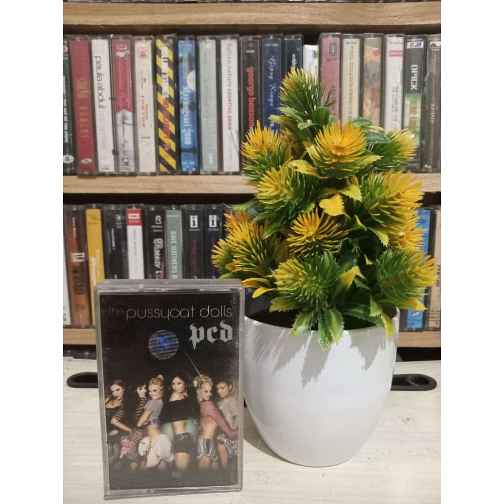 KASET PUSSYCAT DOLL PCD