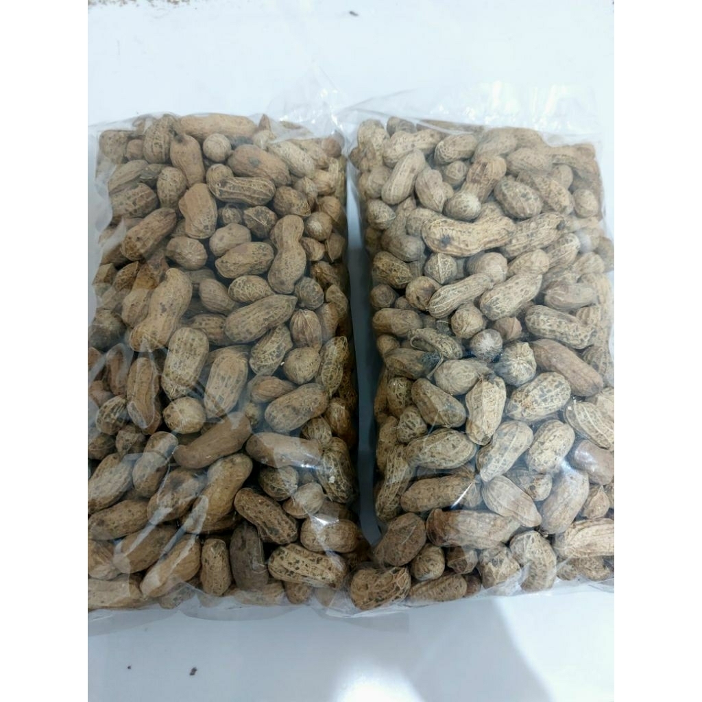 kacang kulit gorengan pasir
