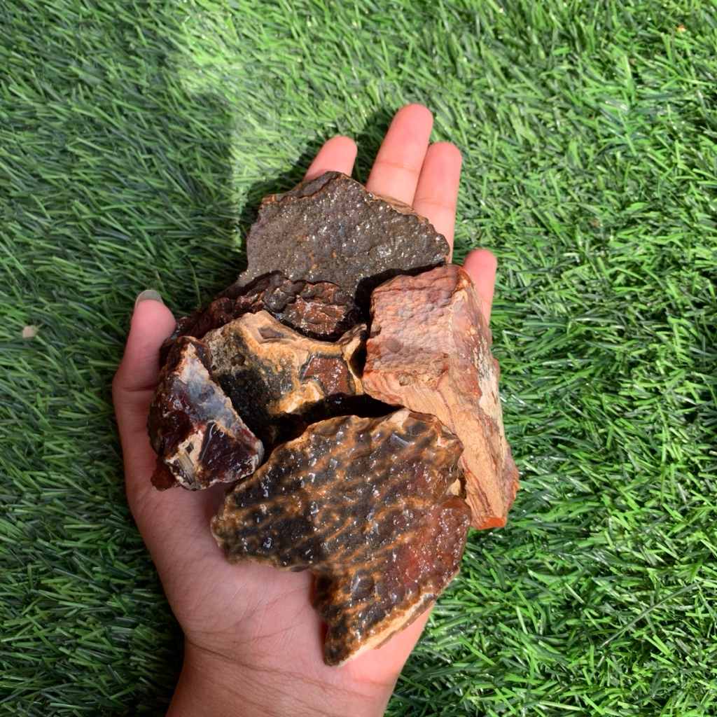 bongkahan batu red raflesia asli bengkulu