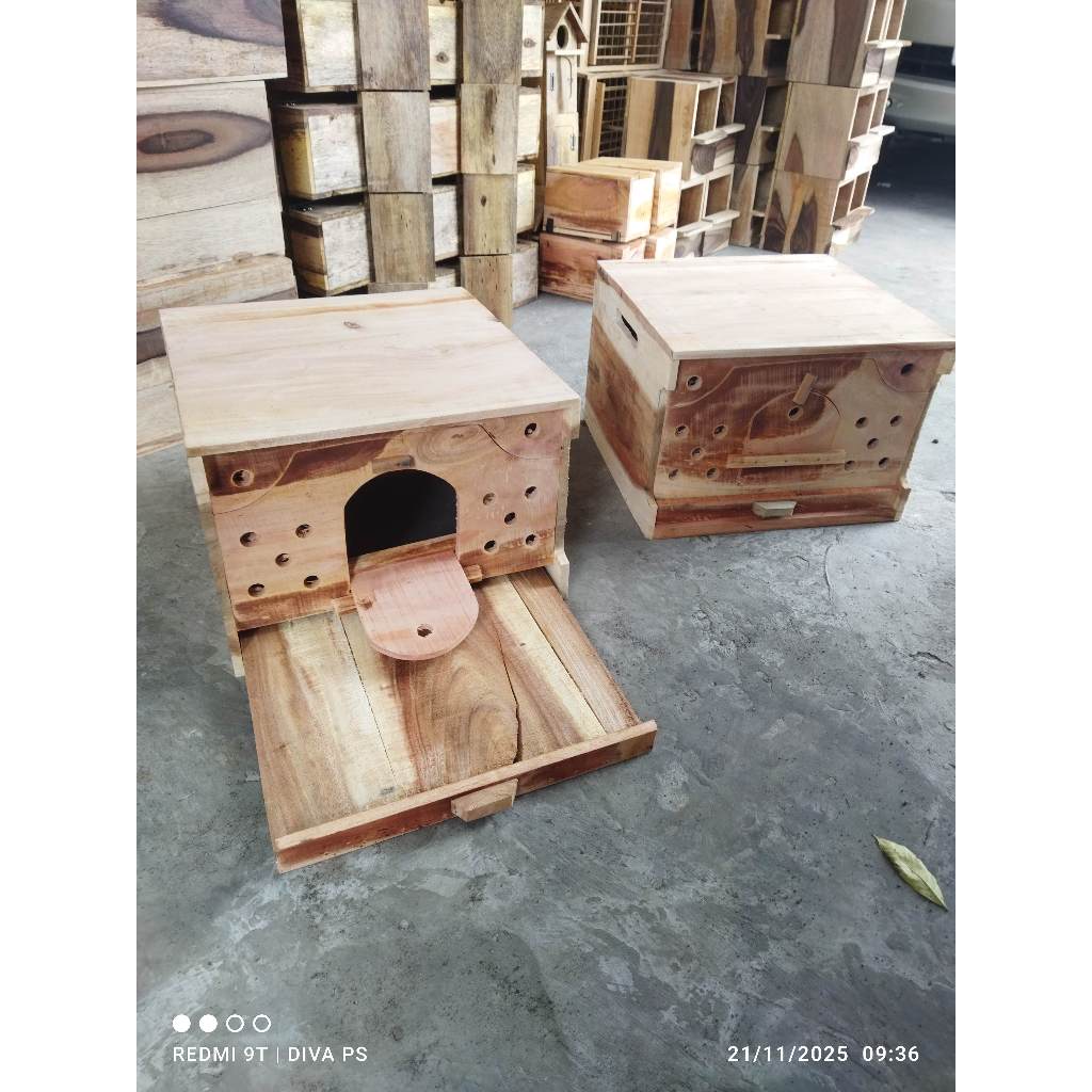 GUPON MERPATI SIZE BESAR PAGUPON MERPATI BURUNG DARA KOTAK PINTU BYAK DAN PINTU BIASA