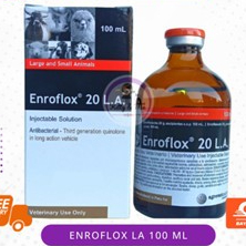 ENROFLOX 20 LA 100 ML AGROVET - - Antibiotik Spektrum Luas Long Acting Hewan