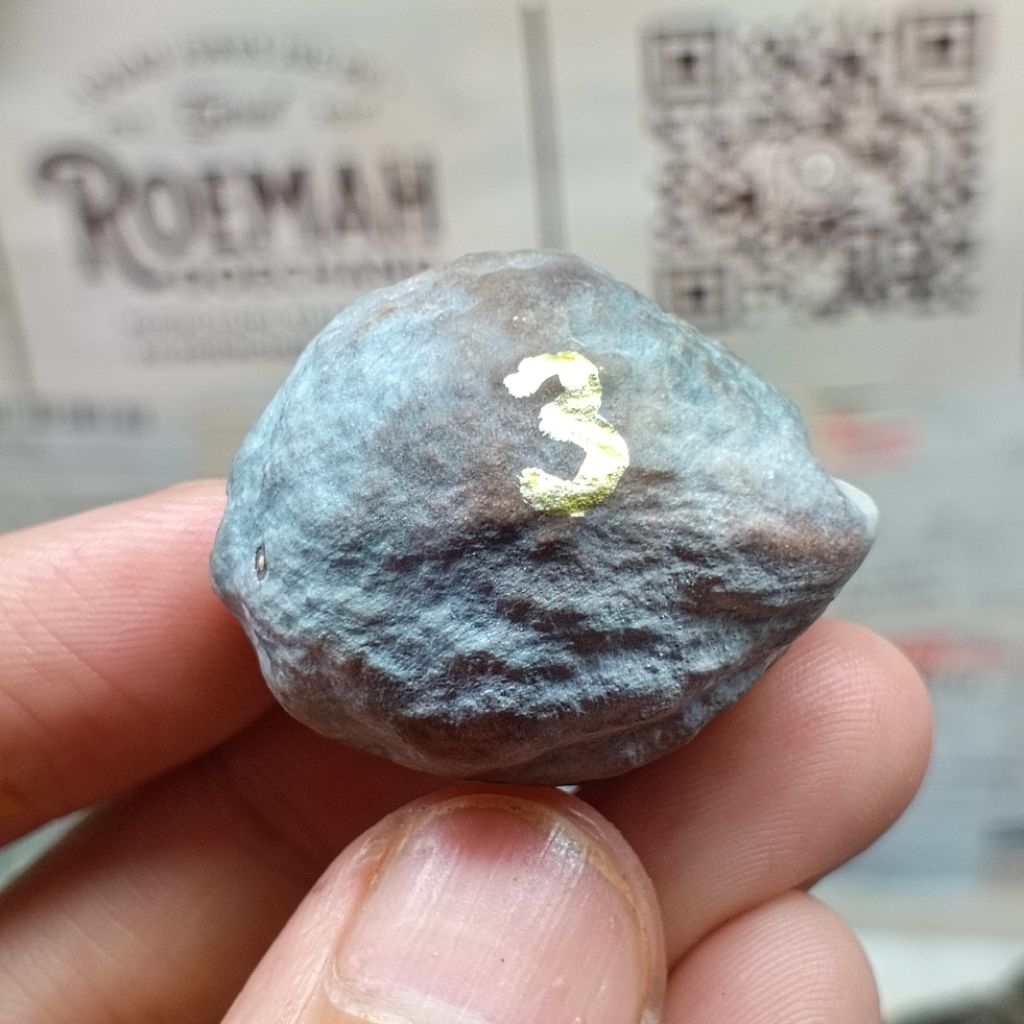 Muncang Adu Eti Dugong kode 3