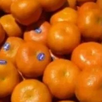 JERUK MANDARIN 1kg