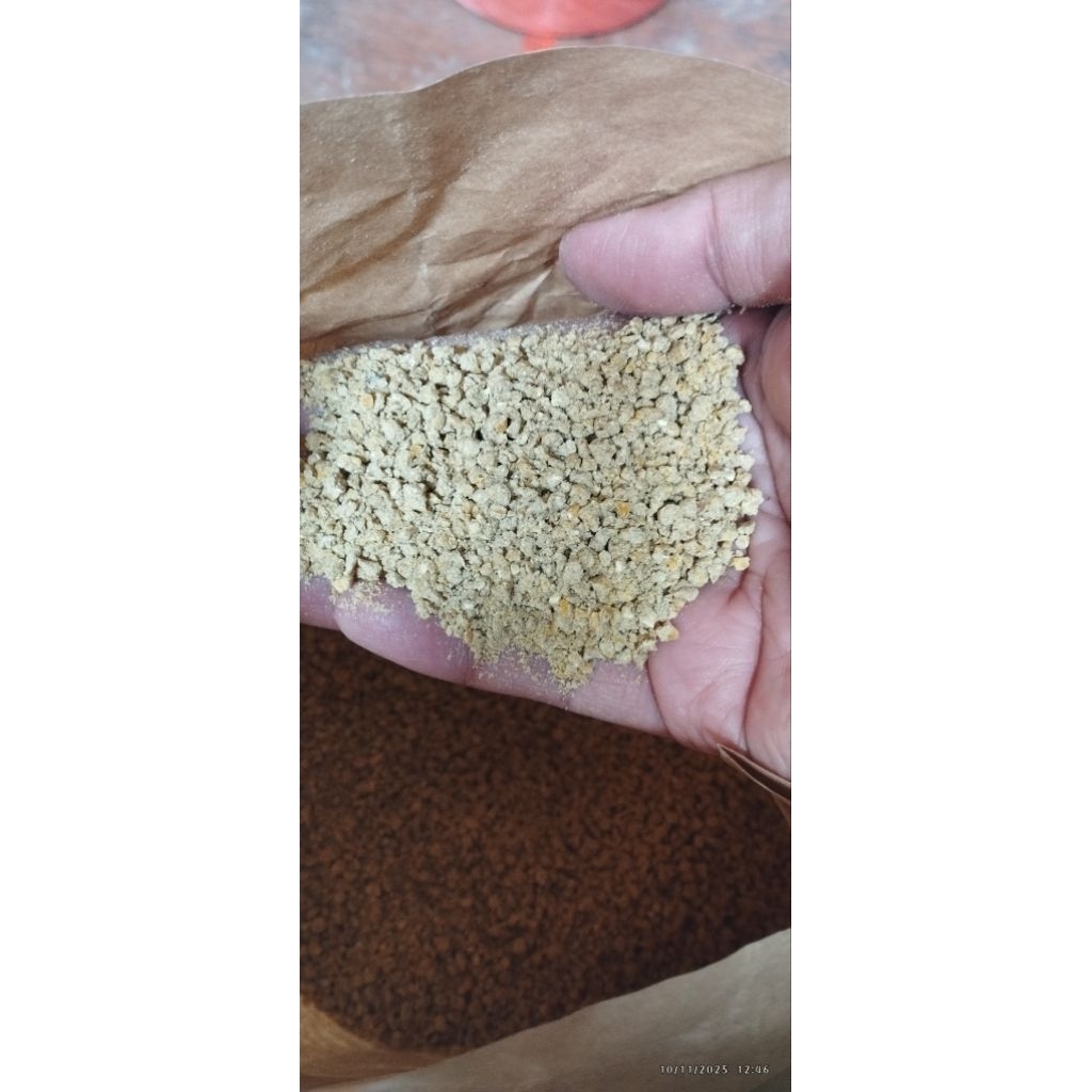 Pakan Ayam P1 Starter Petelur