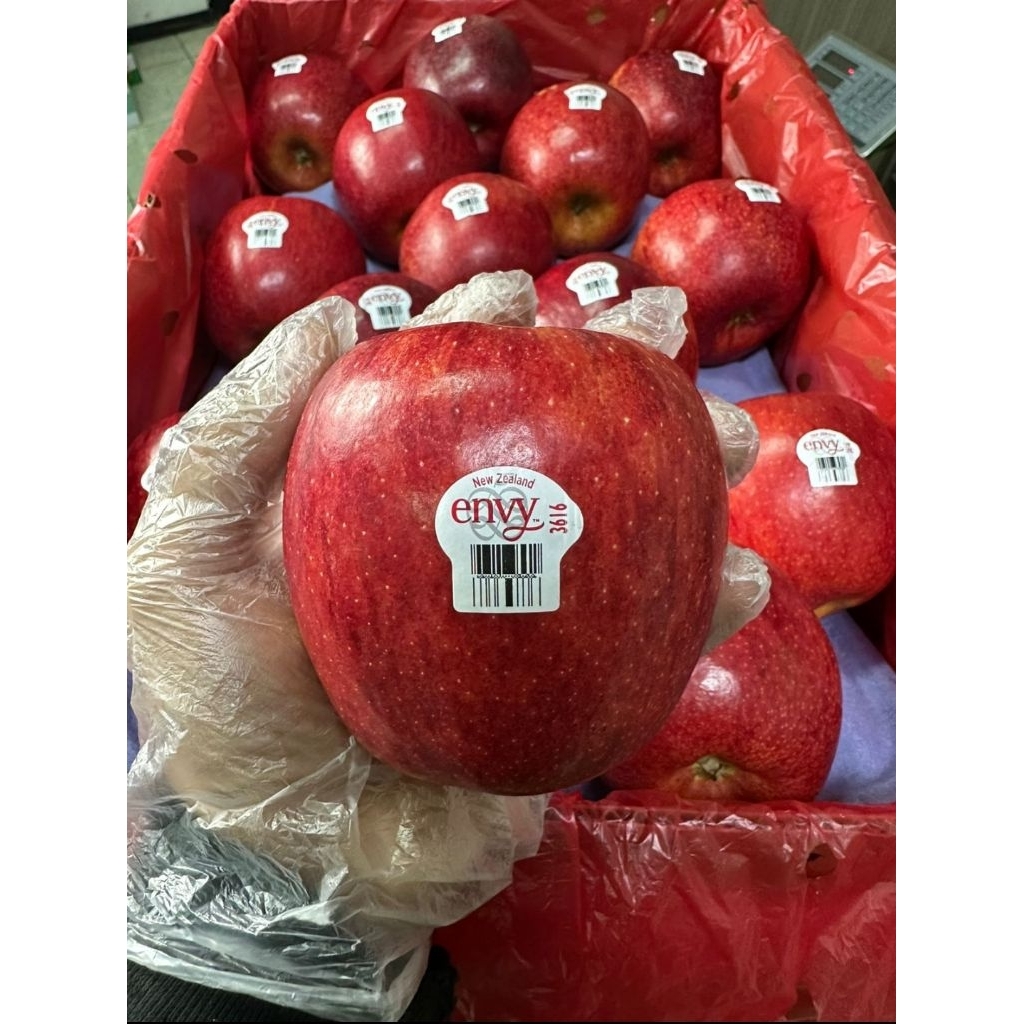 Buah apel envy fresh import per dus