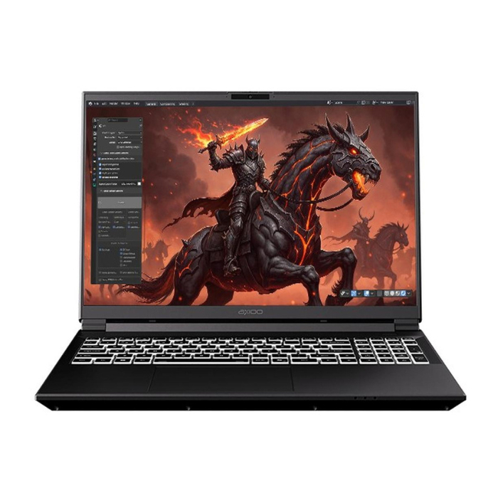 Laptop Axioo MYBOOK PONGO 765 I7 13620H 16GB -SSD 512GB -RTX5060 8GB -WIN11 -BLACK