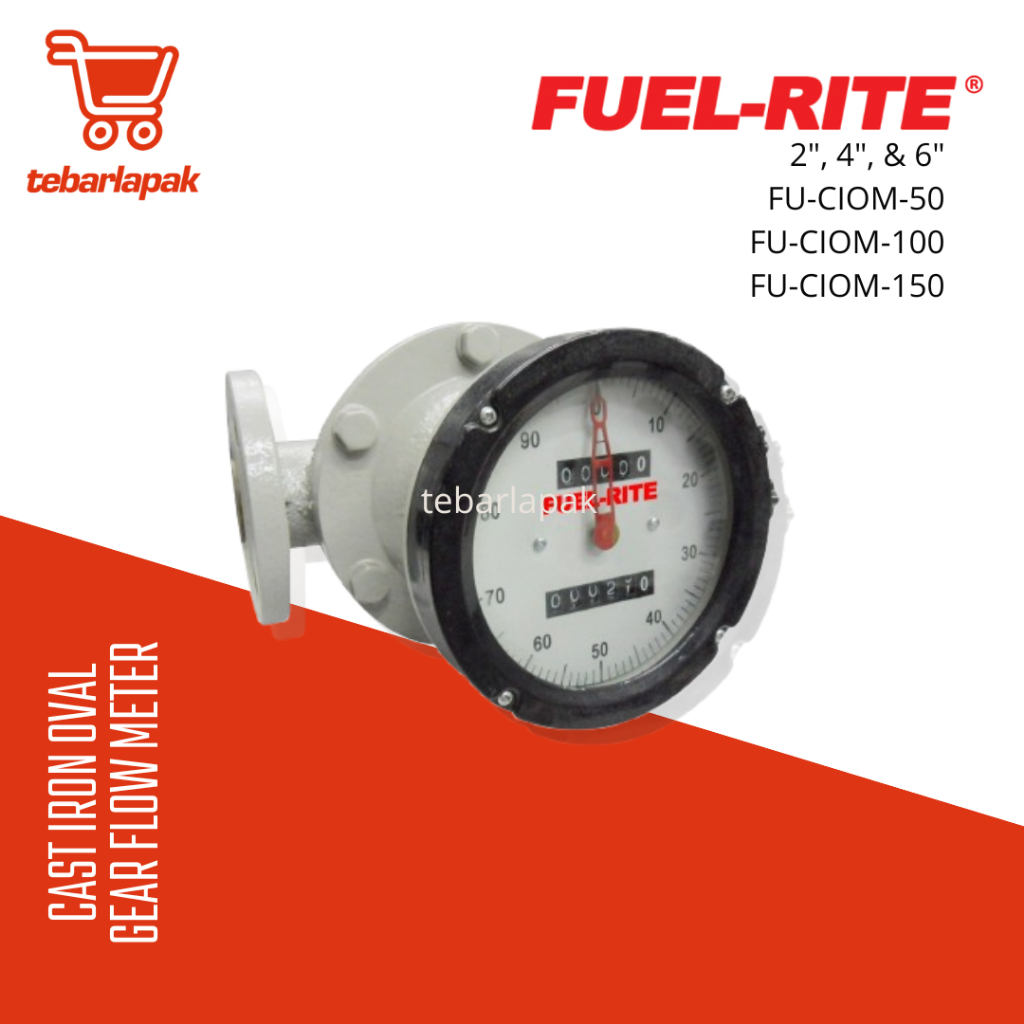 Cast Iron Oval Gear Flow Meter Type FU-CIOM-100