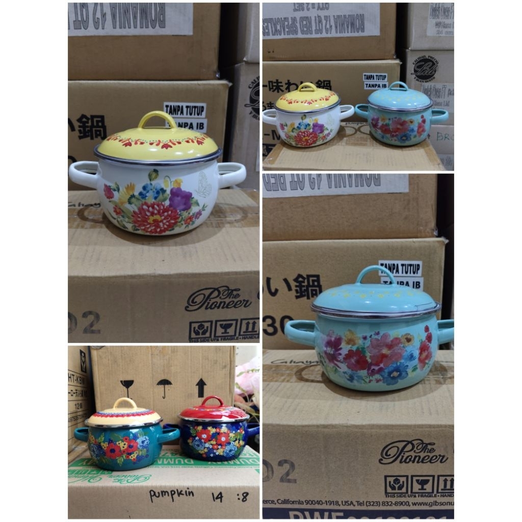 PANCI PUMPKIN PIONEER WOMEN UK 14