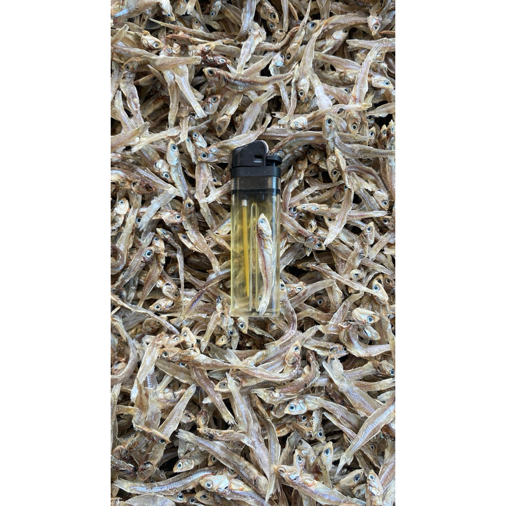 ikan Teri kering Tawar Halus 1kg ( MADURA )