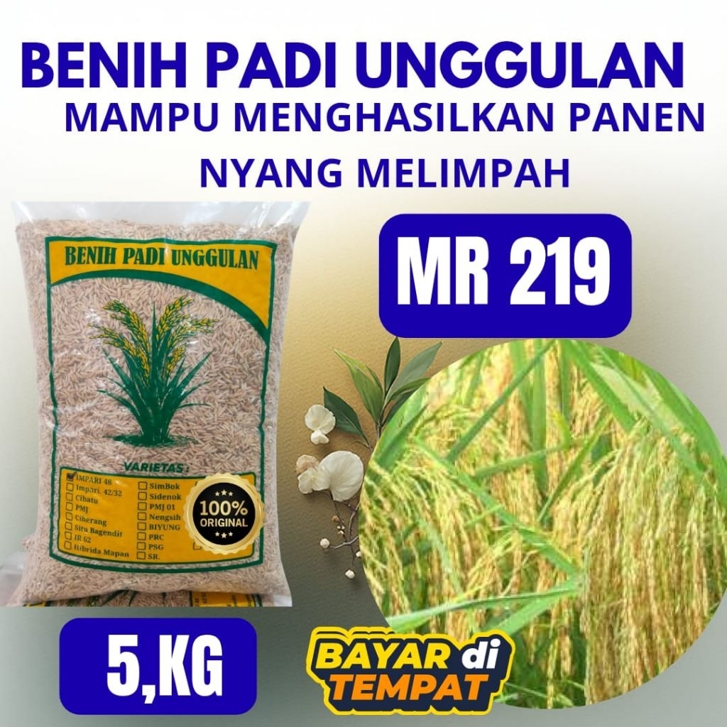 benih padi unggul super MR 219 kemasan 5kg benih padi mr 219 super