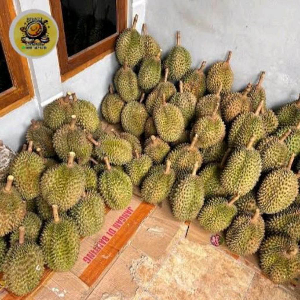 Durian Bawor Banyumas premium