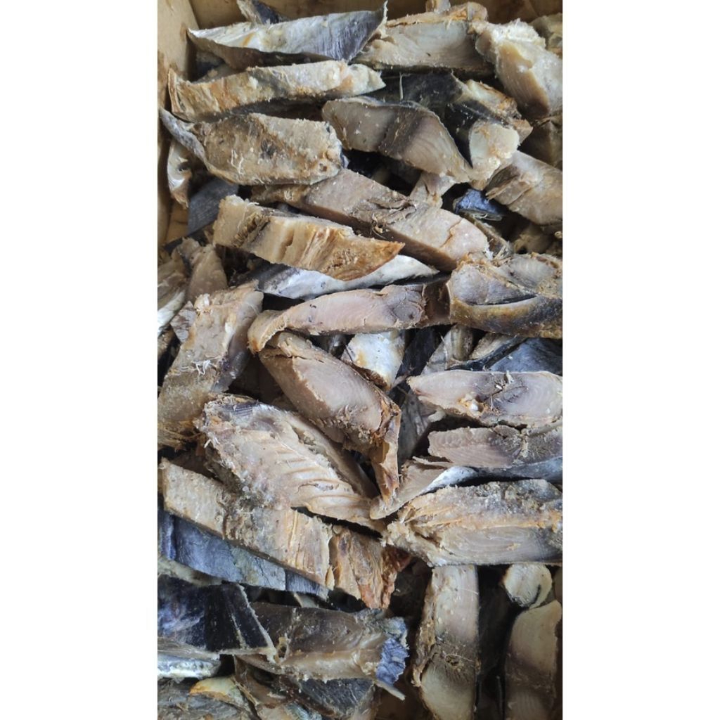 promo ikan tongkol segar kering frees berkualitas