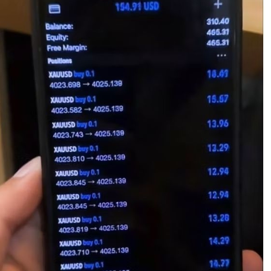 EA trading MT5 Scalper gold catcher