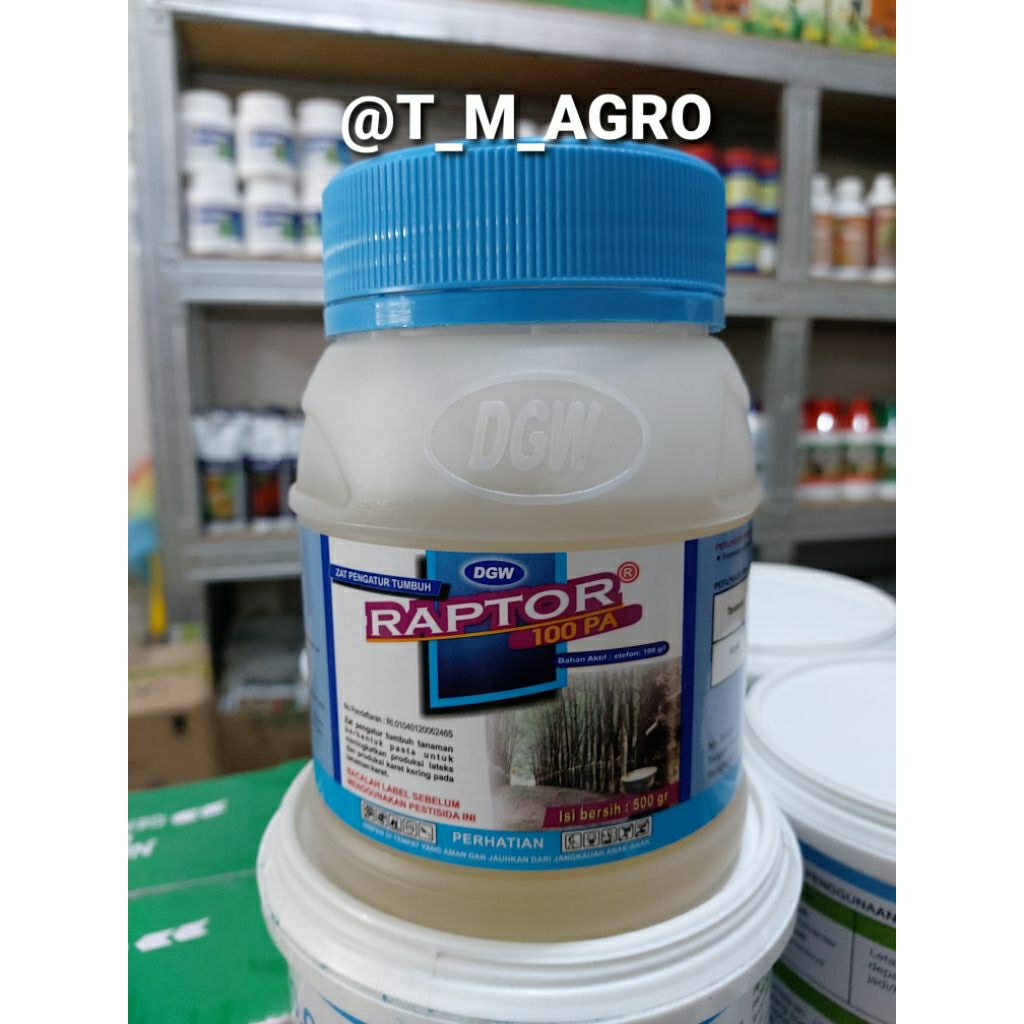 RAPTOR PUTIH 100PA ZPT PENAMBAHAN GETAH KARET 500GR
