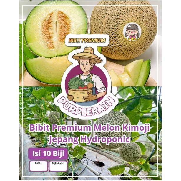 Bibit Premium Melon Kimoji Jepang Hydroponic| Biji Benih Melon Kimoji Jepang | Melon Jepang Kimoji