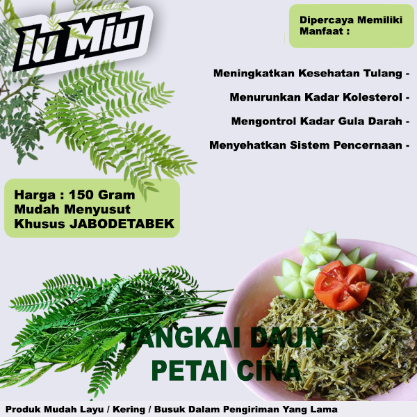 Tangkai Pucuk Daun Lamtoro Petai Cina 150 Gram