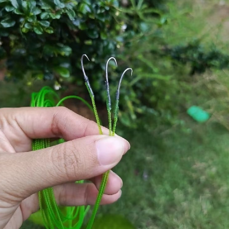 pancing belut sawah super tajam dan sangat kuat