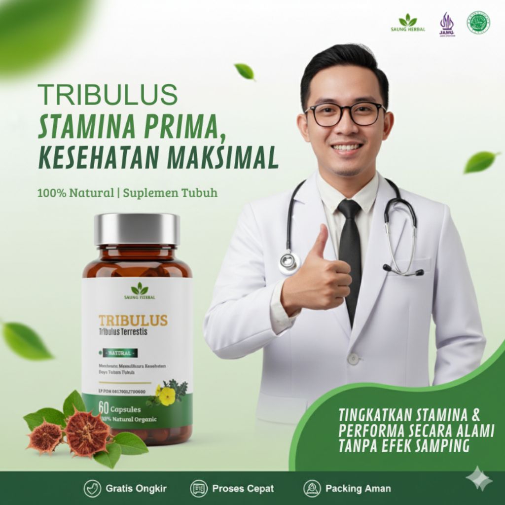 Tribulus Terrestris – Suplemen Vitalitas & Libido Pria – Herbal Alami