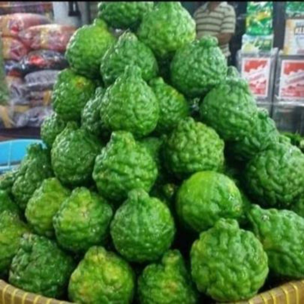 jeruk purut masak 1kg