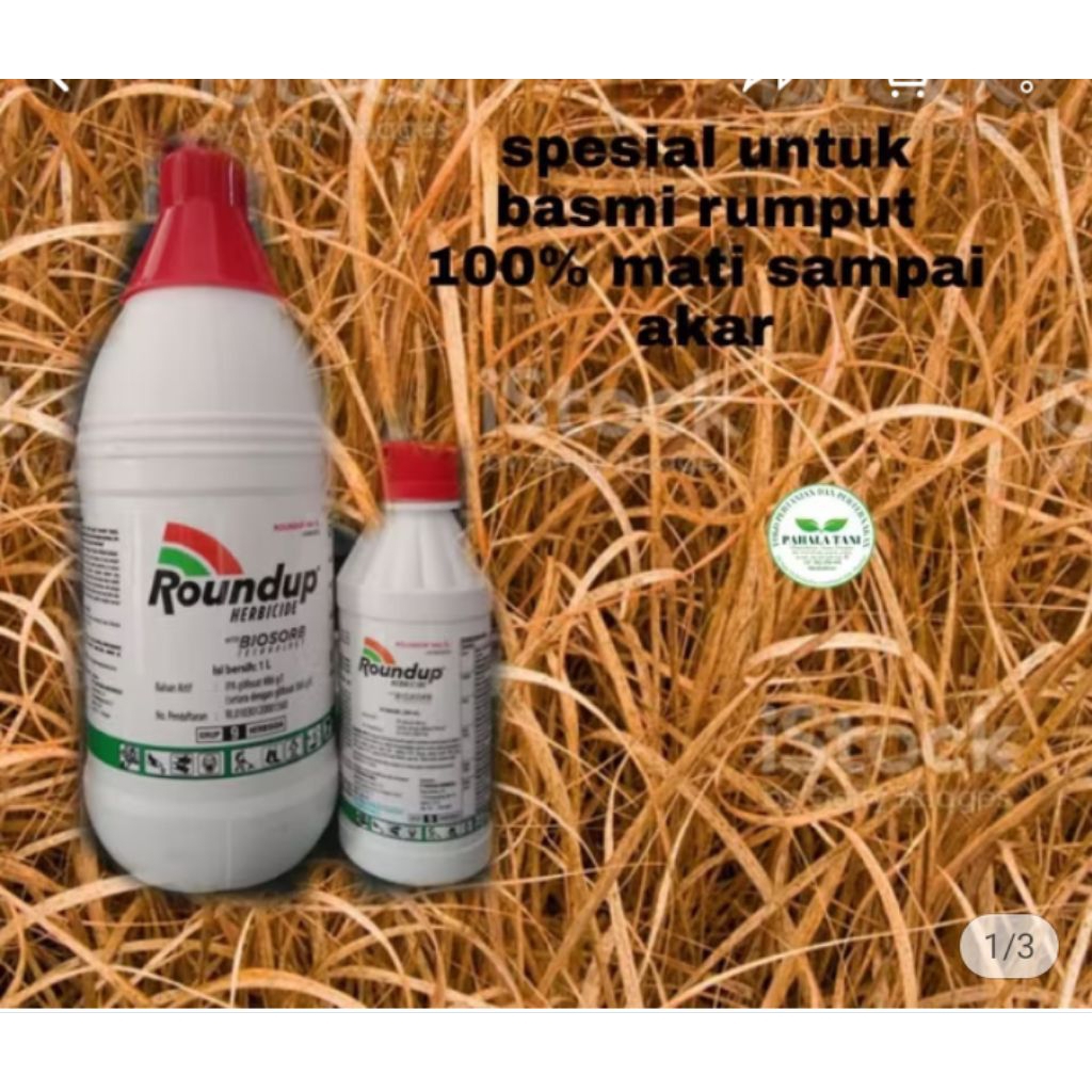 Roundup/herbisida rumput/obat rumput/obat rumput liar/obat rumput mati sampai akar/100% kering tunta