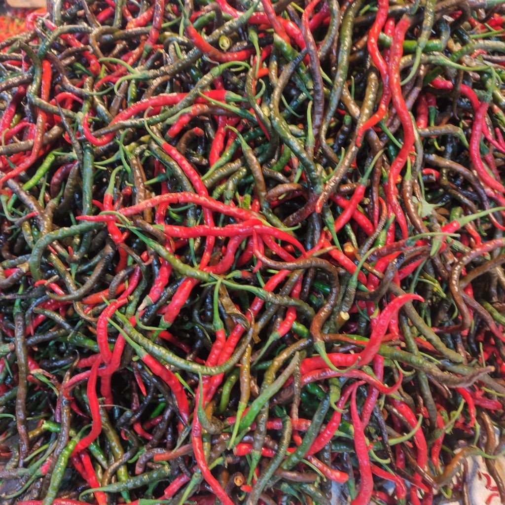 Cabe Keriting 1 kg