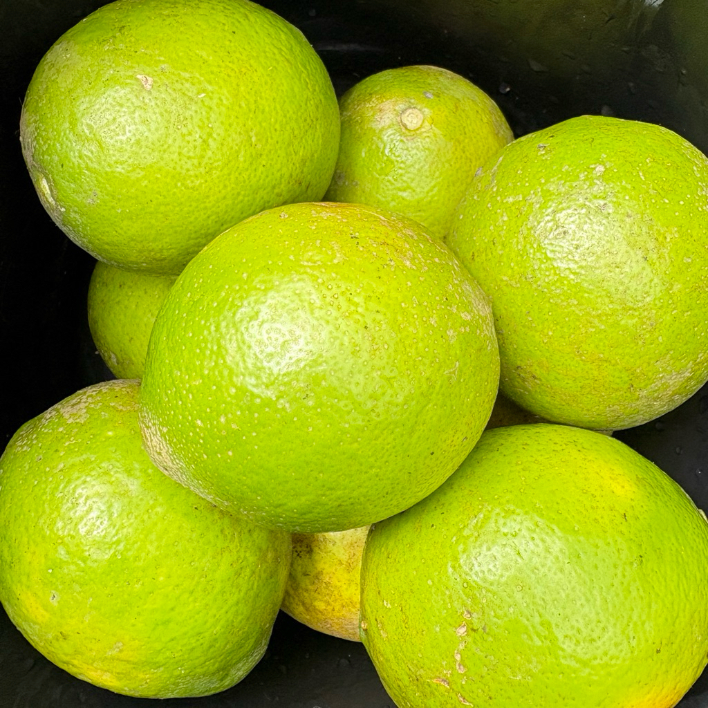 Jeruk Lemon California 1Kg