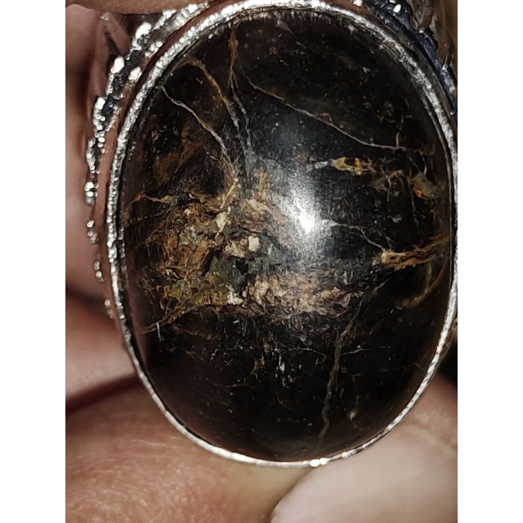 Natural Kelor Petrified Wood, SCORPION FISH / Batu Fosil Kayu Kelor, IKAN KALAJENGKING