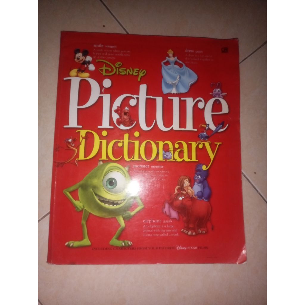 PICTURE Dictionary/Diisney
