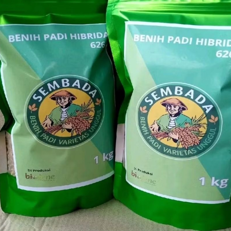 5 kg BENIH PADI SEMBADA 626