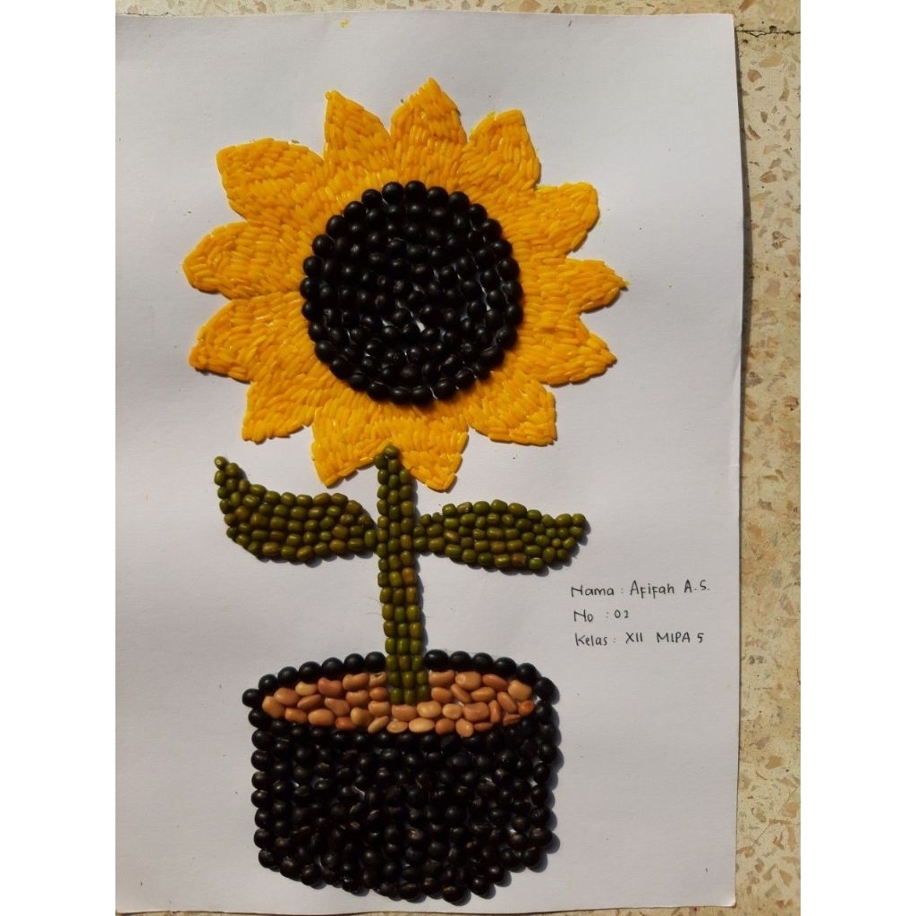 kolase biji bijian bunga matahari aesthetic