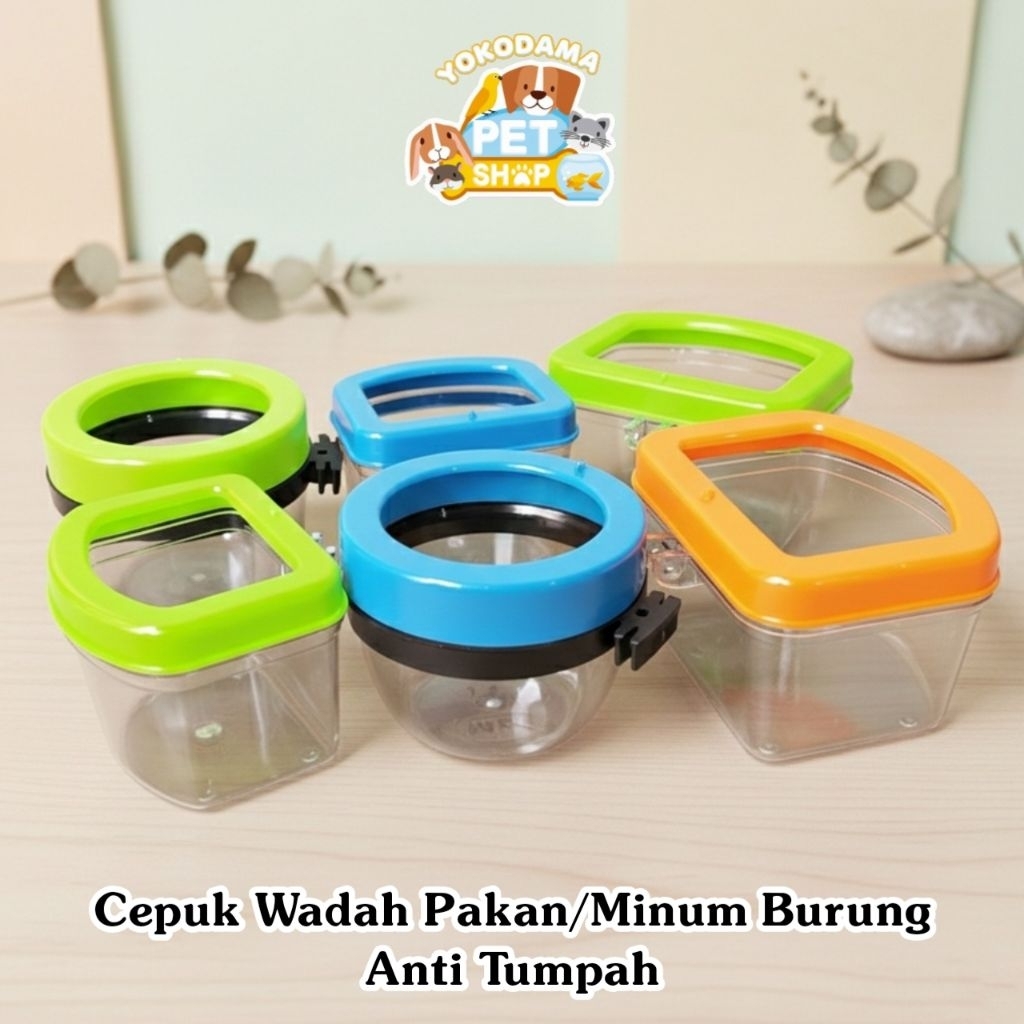 Cepuk Wadah Pakan/Minum Burung Anti Tumpah