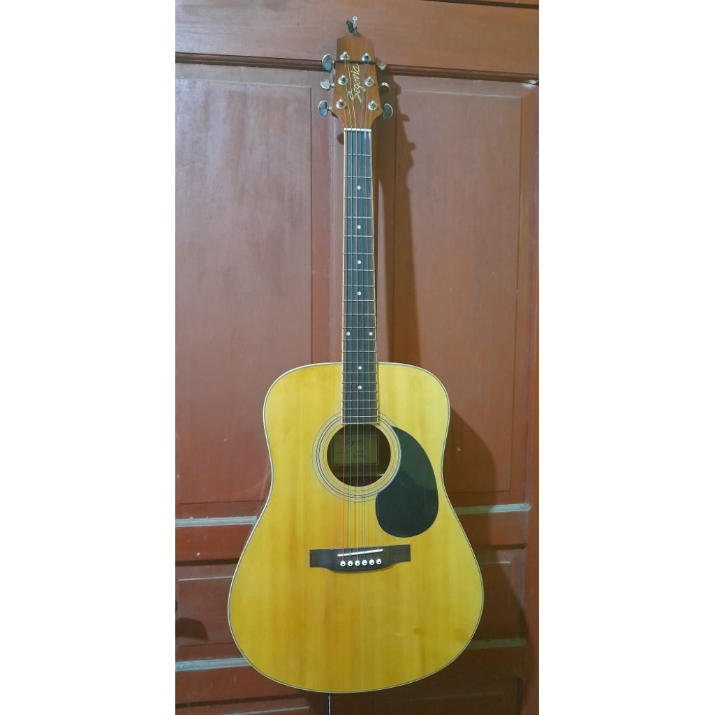 GitarAkustikSegoviaD-07GN