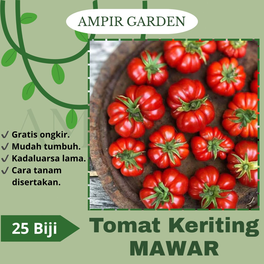 25 Biji BENIH Tomat MAWAR F1 Tomat Keriting unggul Tomat Sayur Sayuran Benih Berkualitas Tomat Chery