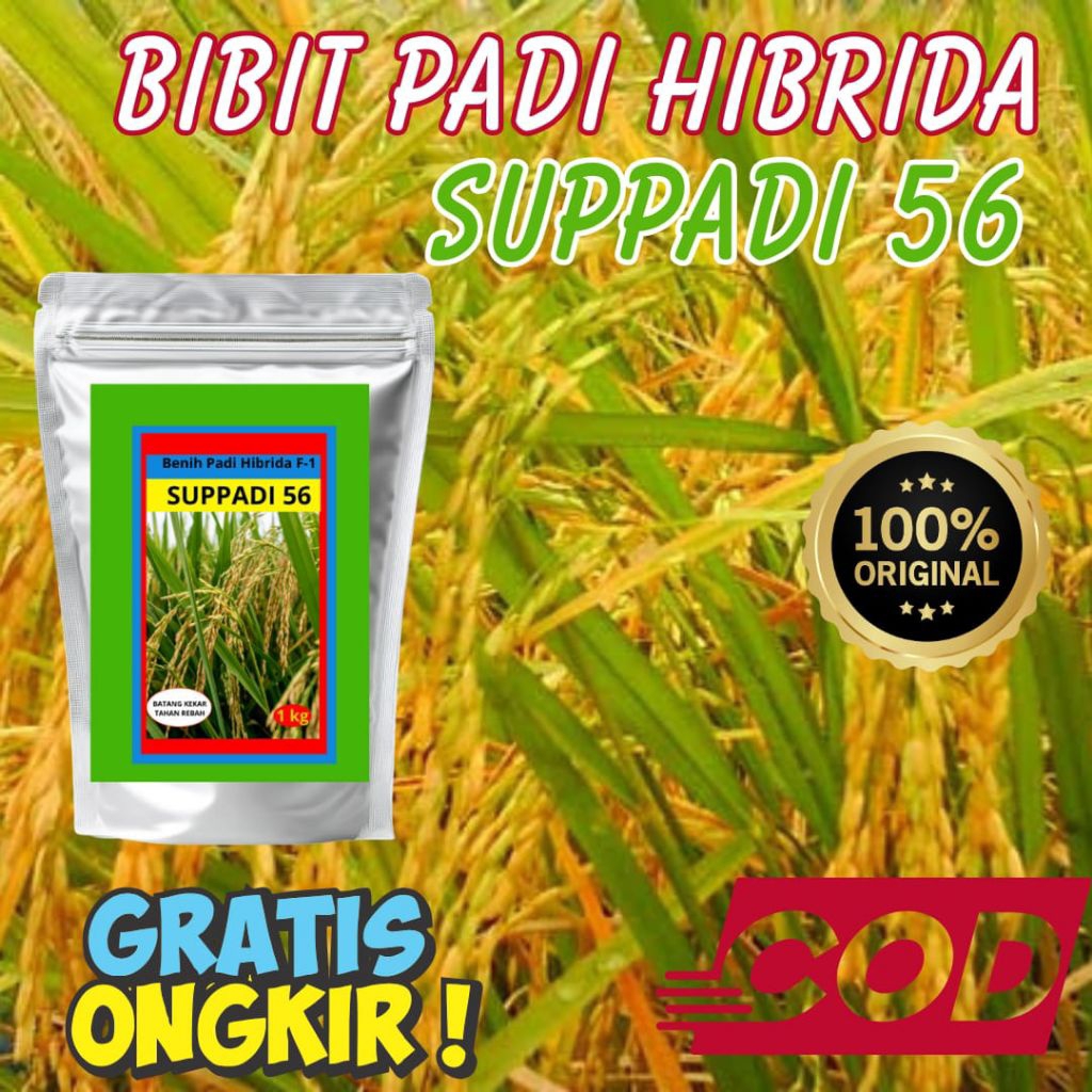 Benih Padi Supadi SUPPADI 56 Hibrida F1 Original Agrosid