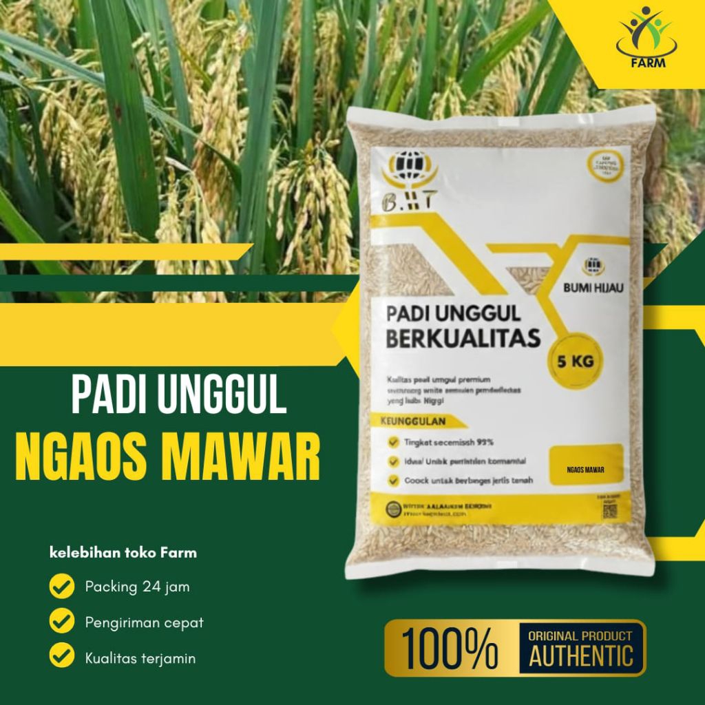 Benih padi Ngaos ngaos mawar kemasan 5kg