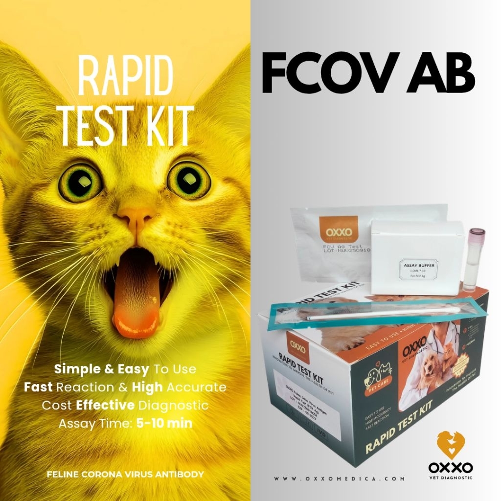 10 PCS/ BOX : Feline Corona Virus Antibody/FCoV AB Rapid test kit/Rapid Test Kucing/Feline Rapid Tes
