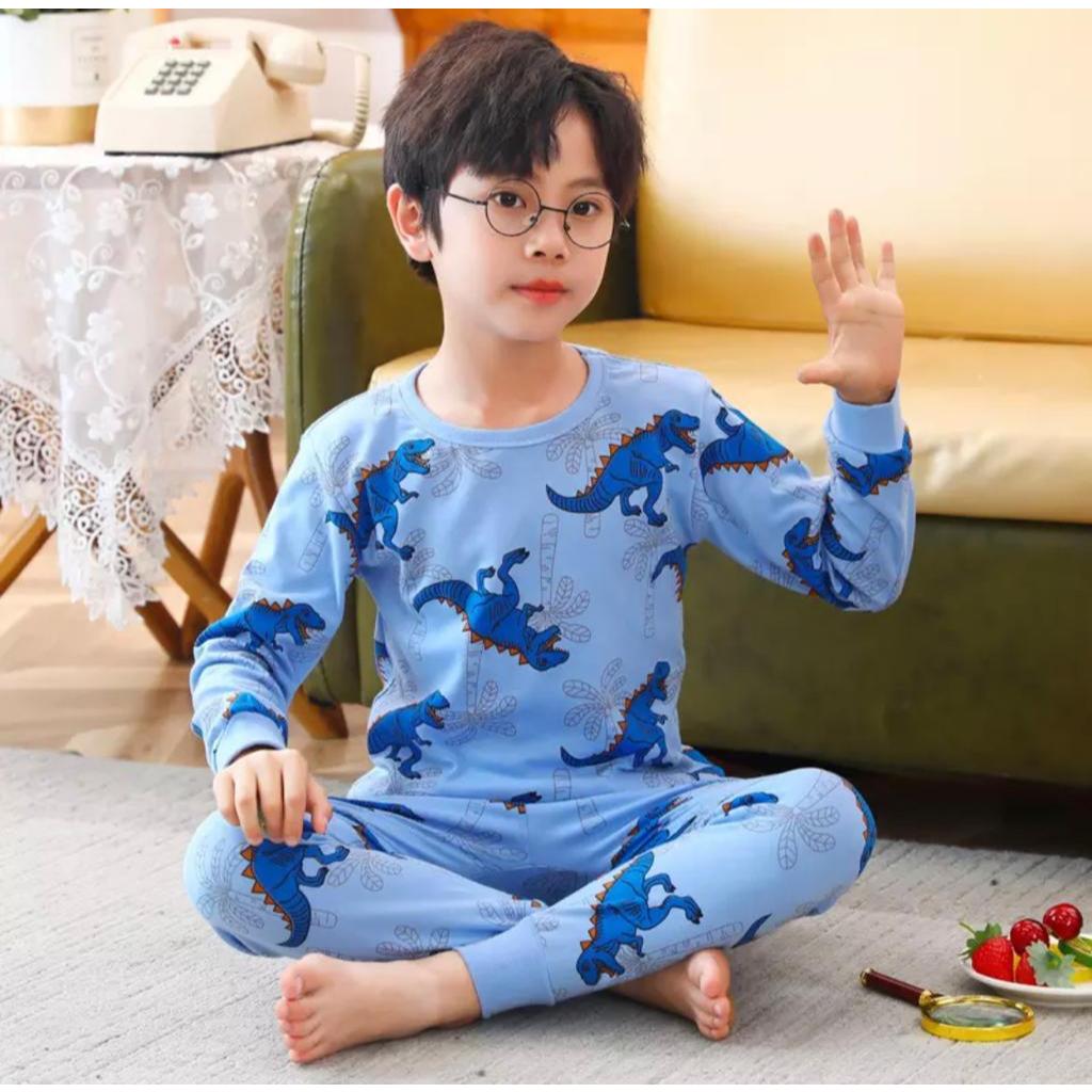 BAJU TIDUR SETELAN ANAK ANAK UNTUK 1-10 TAHUN BAHAN BAJU DAN CELANA PANJANG WARNA BIRU LANGIT