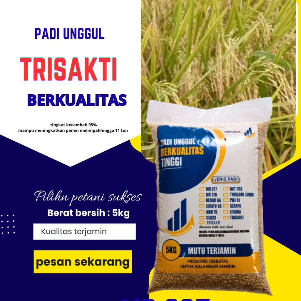 Benih padi unggul Trisakti original benih padi unggul Trisakti original kemasan 5kg