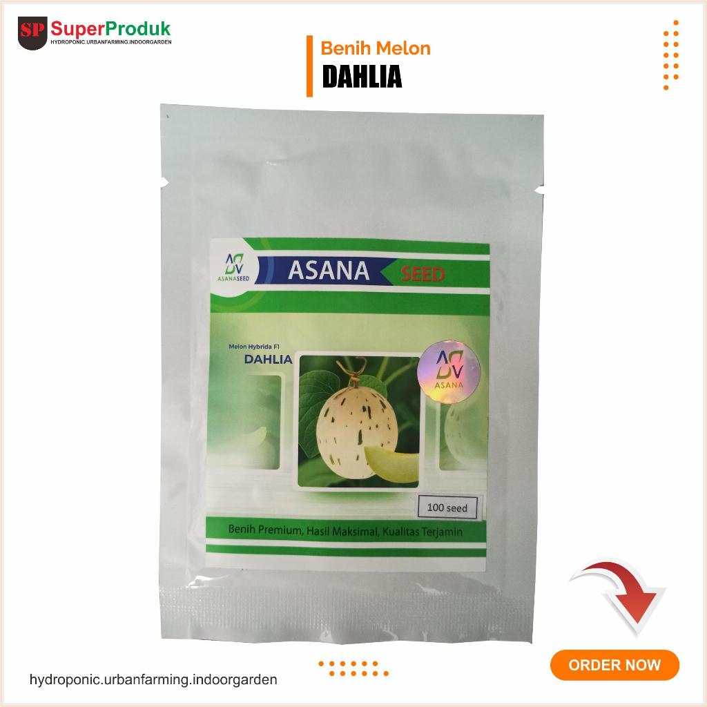 Benih Melon Dalmation Dahlia 100 seed