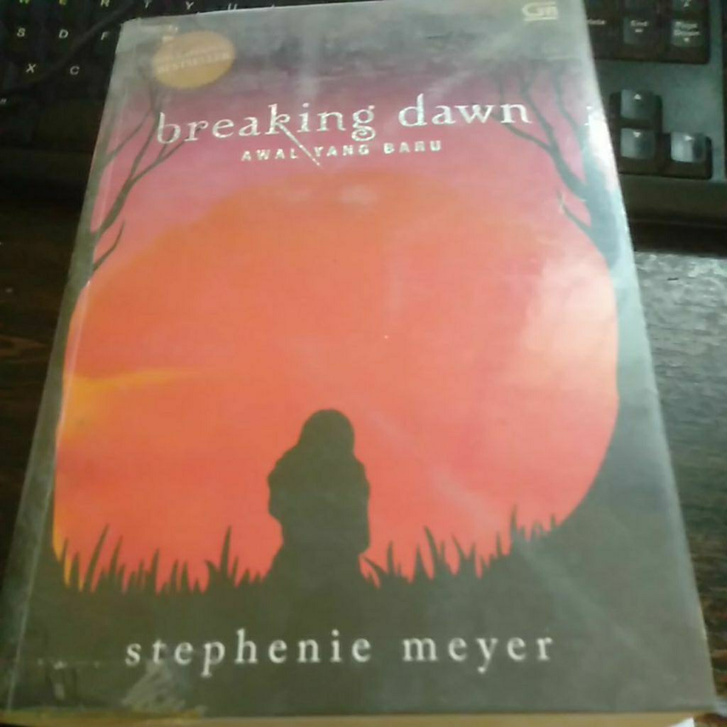 novel breaking dawn