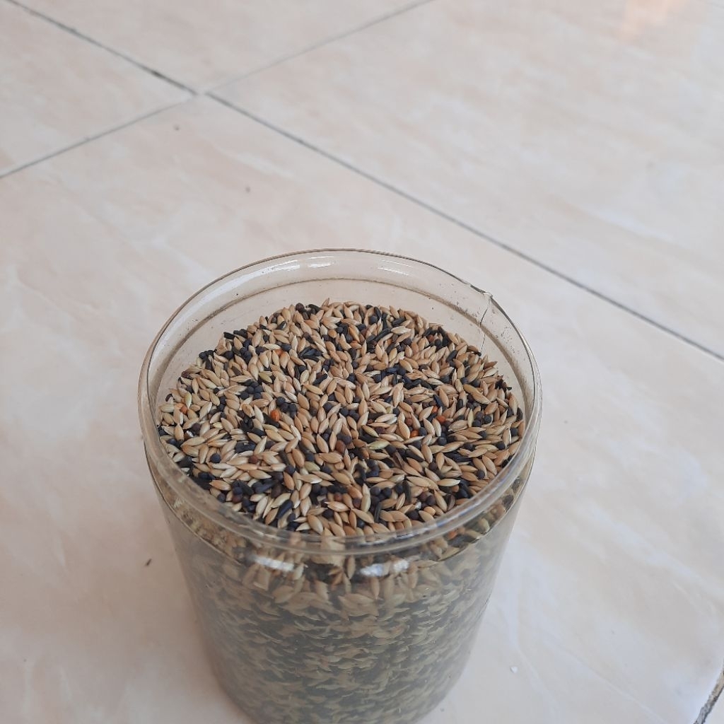 pakan kenari campuran biji sawi niger seed kenari seed