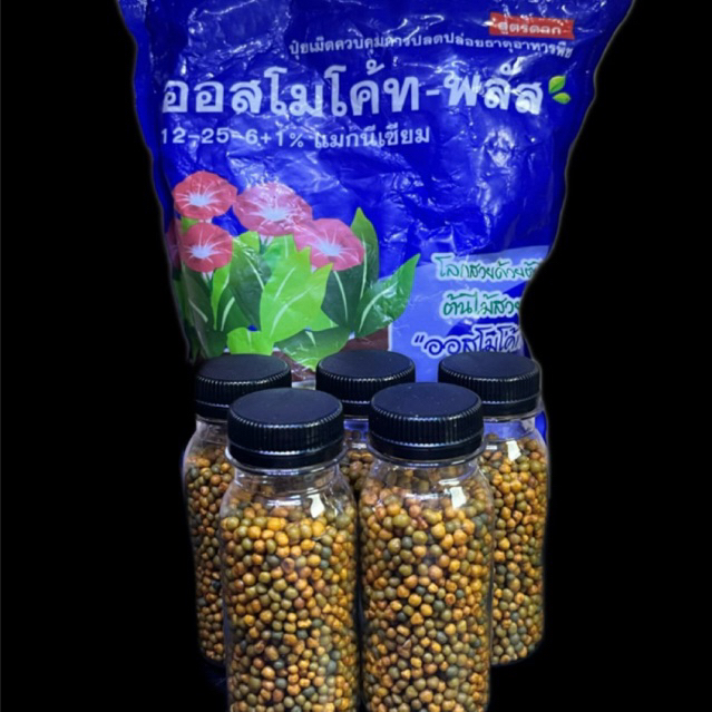 Pupuk Bunga Kaktus Sukulen Import OSMOCOTE Thailand - Plus (12-25-6+1%) Kemasan Re-Pack