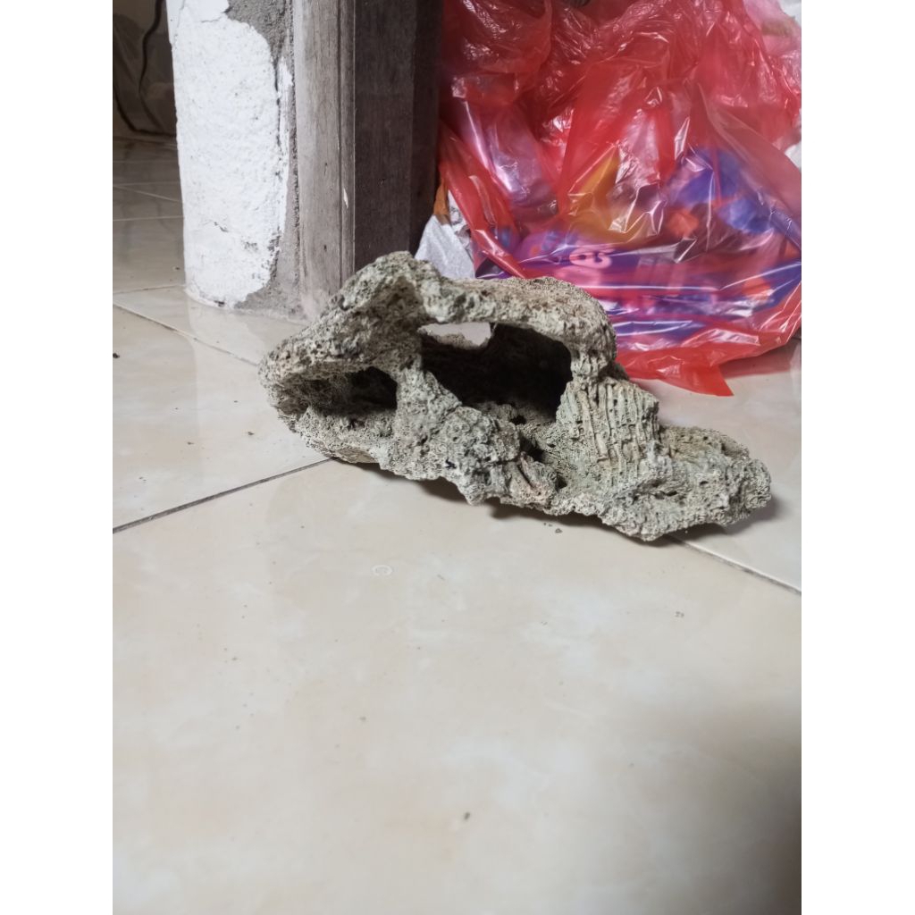 batu karang laut asli bentuk goa ukuran jumbo