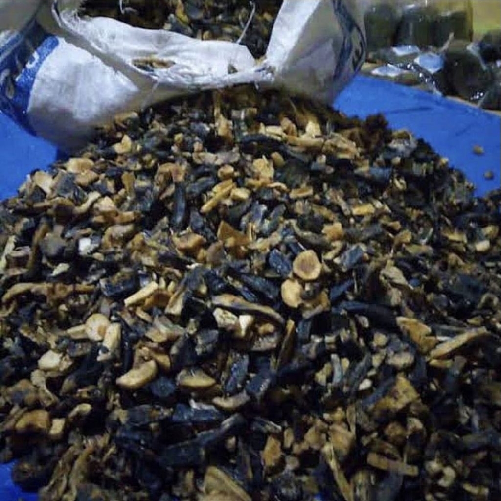 GATOT INSTAN GATOT SINGKONG MAKANAN TRADISIONAL