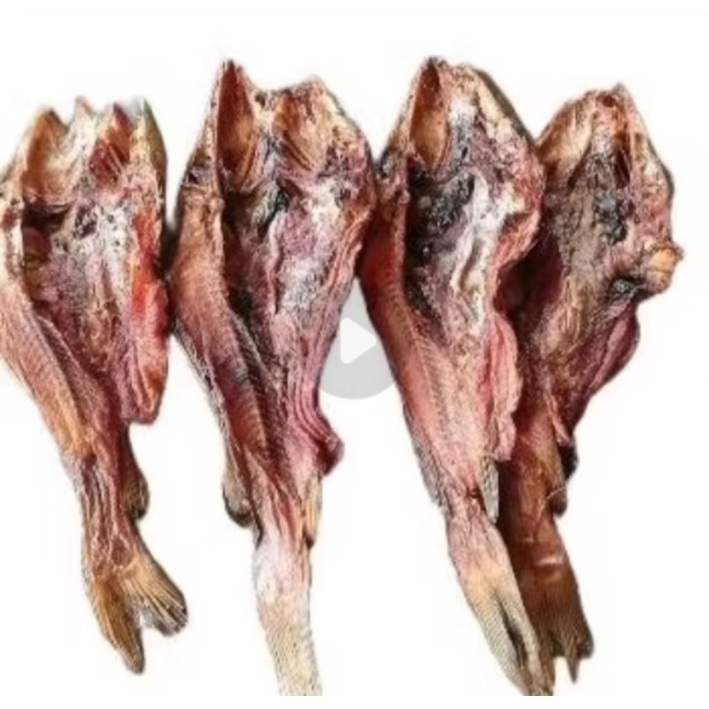 ikan salai baung duri Riau