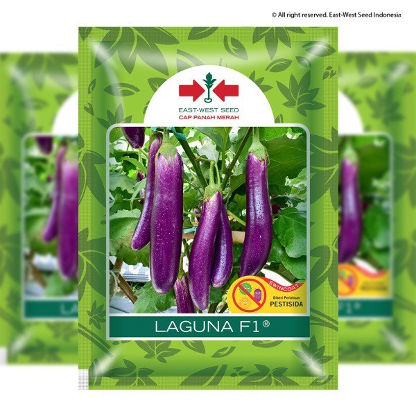 Benih Terong Ungu LAGUNA F1 Isi 1.100 Biji Cap Panah Merah / Benih Terong Laguna F1 5gr