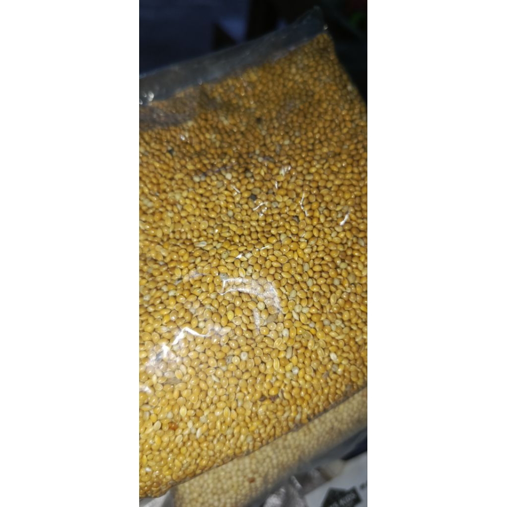 Milet Kuning 1 Kg Pakan Burung Perkutut